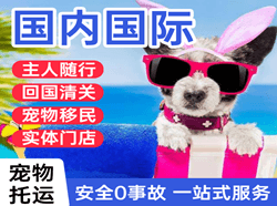 北海机场货运国际宠物托运 【国